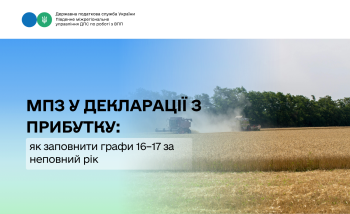 МПЗ у декларації з прибутку: як заповнити графи 16–17 за неповний рік
