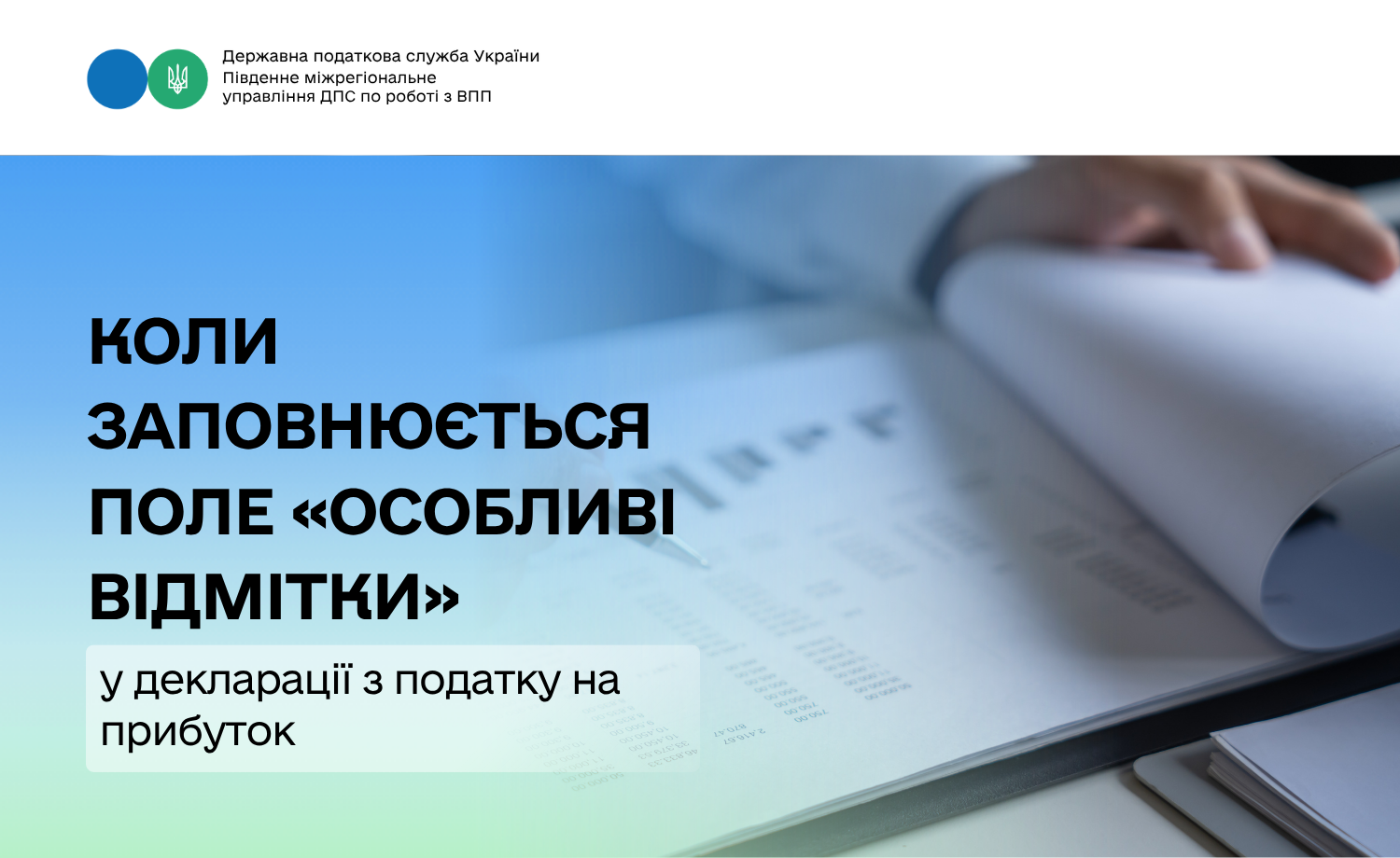 Коли заповнюється поле «Особливі відмітки» у декларації з податку на прибуток